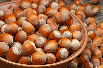 Hazelnuts nuts in a ceramic bowl on rustic background.