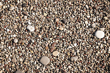Background of small multicolored sea pebbles