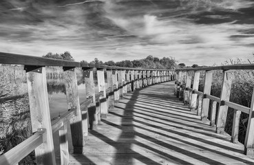 Puente de madera sobre un lago. Blanco y negro. Parque Nacional de las Tablas de Daimiel. Ciudad Real. España.