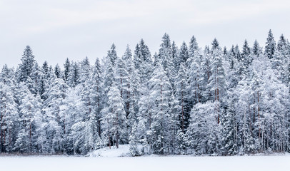 Winter landscape from Finland