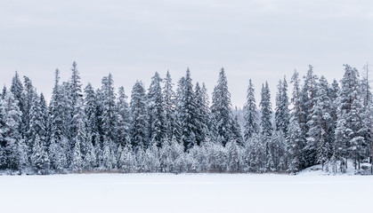 Winter landscape from Finland