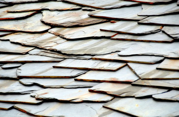 Details of shale roof on a house built from schist in Piodão,  one of Portugal's schist villages in the Aldeias do Xisto.