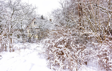 Winter sketches. Fluffy snow on houses, fences and other buildings.