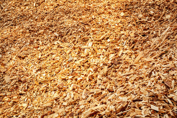 background of birch tree wood chips close up