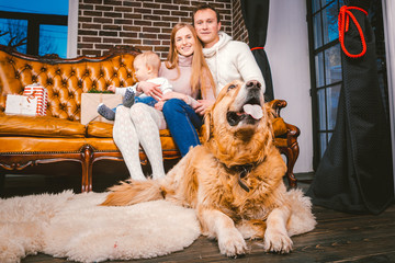 The theme new year and Christmas holidays in a family atmosphere. Mood holidays family caucasian young mom dad son and dog labrador golden retriever 1 year old sit on leather brown sofa at home