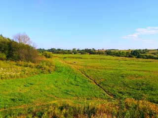 Green landscape