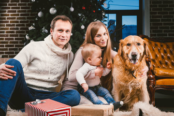 theme Christmas and New Year family circle and domestic pet. Mom dad and child 1 year old Caucasian woman sitting on floor near Christmas tree with gifts and big dog breed labrador golden retriever