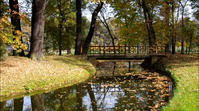 Branitzer Park Br&uuml;cke in der Lausitz