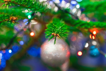 Obraz na płótnie Canvas Christmas tree branches with Christmas lights, texture, blurry background