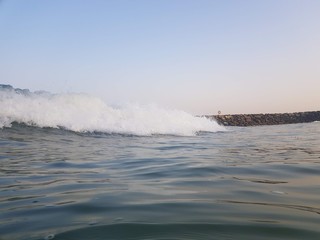 070558