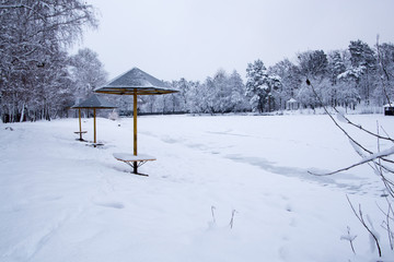Beach winter landscape Forest lake snow New Year's nature christmas cold xmas