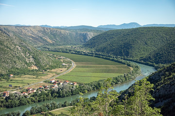 Fototapeta na wymiar Vineyards stretch as far as the eye can see in the karstic heartland of Herzegovina in Bosnia and Herzegovina