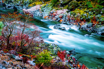 The Trinity River along California Highway 299, Christmas Eve 2018 _DSC1371