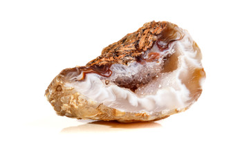 Macro mineral stone agate kidney gerbera on white background close up