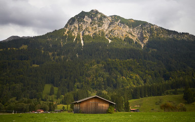 Alps Landscapes - Mountains green with hause and Street