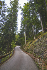 Fototapeta premium Alps Landscapes - Mountains green with hause and Street