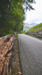 Alps Landscapes - Mountains green with hause and Street