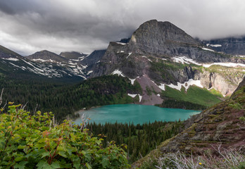 Foliage and Rock in Front of Grinnell Lake