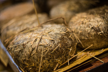 Tuscany cheese