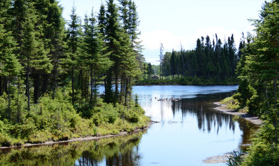 Rivi&egrave;re