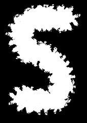 Fototapeta premium Abstract Decorative Photo Edge in Form of Letter S. Type Text Inside, Use as Overlay or for Layer Mask 