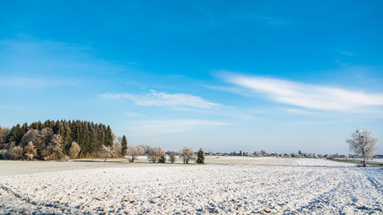 Fototapeta na wymiar Winter landscape rural view. Frost in fields