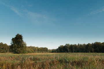 Blue Sky Over Empty Park