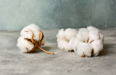 Group of cotton flowers heads close-up