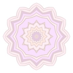 Modern Decorative floral color mandala. round Shapes. illustration.