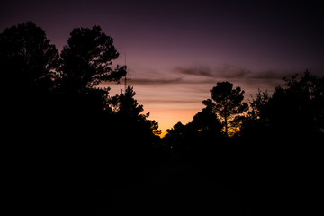 Fototapeta premium colores de atardecer