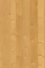 oak tree timber wood wallpaper backdrop structure texture background