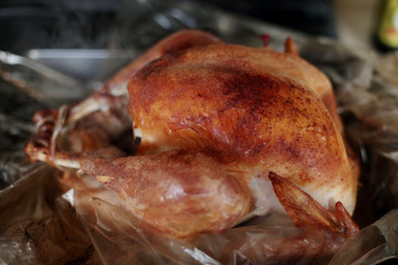 Freshly baked turkey resting on the stove top.