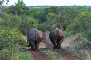 Swaziland
