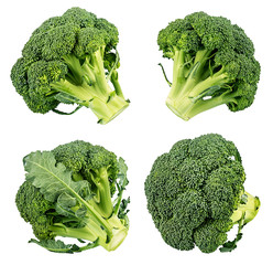 Broccoli isolated on white background