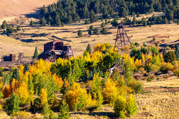 Autumn Leaves in the Goldfield Mining District