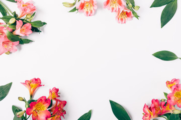 Flat lay decorative frame of lush pink lily flowers