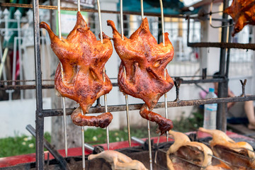 Hanging Roasted Chickens / Ducks at Outdoor Street Vendor in Luang Prabang, Laos