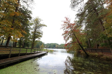 fall at the lake