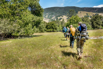 Obraz premium backpacking in the Meadow