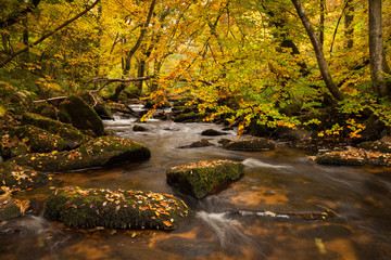 River on Dartmoor during autumn