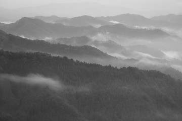 野迫川村の雲海