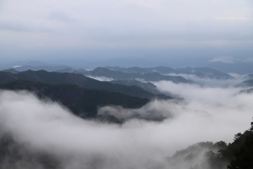 野迫川村の雲海