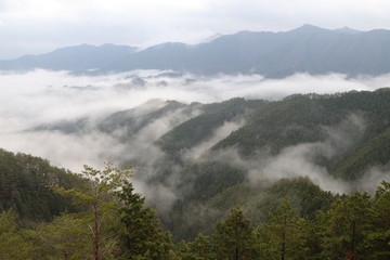 野迫川村の雲海