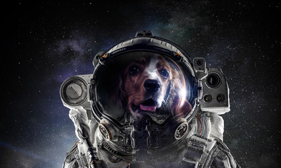 First trip to space. Mixed media