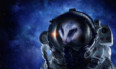 First trip to space. Mixed media