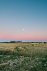 Field Sunset Gradient With Moon