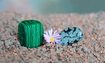 Polished malachite and obsidian with Lithops flower