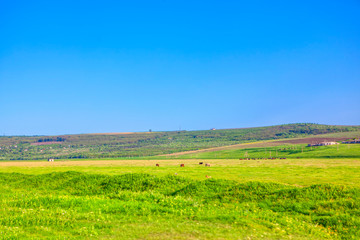 Fototapeta na wymiar green country landscape