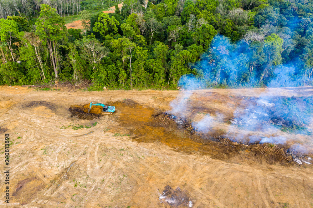 Wall mural Aerial drone view of tropical rainforest deforestation to clear land for plantations