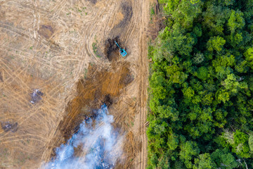 Aerial view of deforestation.  Rainforest being removed to make way for palm oil and rubber...